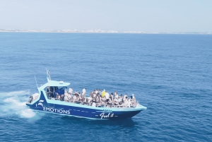 Portimão: 3 uur — Dolfijnen spotten — Bioloog aan boord