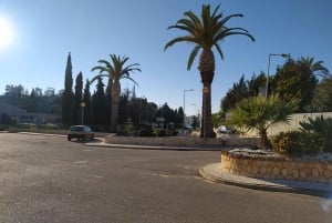 Portimão: Algarve Coastline Tour with Cruise Terminal Pickup
