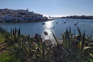 Portimão: Algarve Coastline Tour with Cruise Terminal Pickup