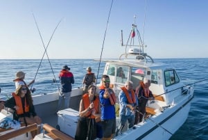 Portimão: Algarve Reef Fishing