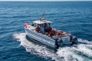 Portimão: Algarve Reef Fishing