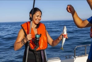 Portimão : Algarve Reef Fishing
