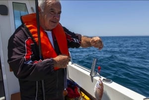 Portimão : Algarve Reef Fishing
