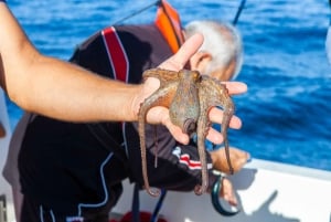 Portimão : Algarve Reef Fishing