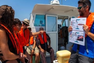 Portimão : Algarve Reef Fishing