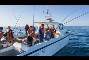 Portimão : Algarve Reef Fishing