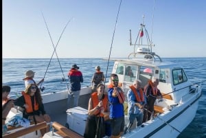 Portimão : Algarve Reef Fishing