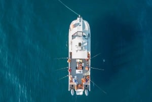 Portimão : Algarve Reef Fishing