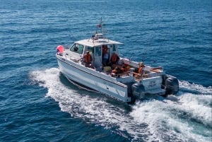 Portimão : Algarve Reef Fishing