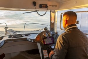 Portimão : Algarve Reef Fishing