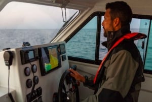 Portimão : Algarve Reef Fishing