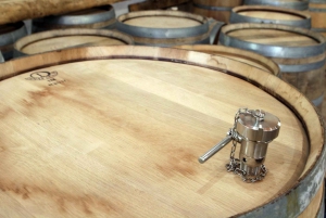 Algarve: Winery Tour with Tastings and Transfer