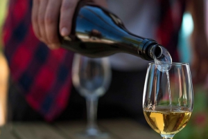 Algarve: Winery Tour with Tastings and Transfer