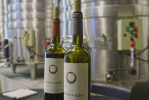 Algarve: Winery Tour with Tastings and Transfer