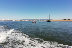 Portimão: Tour in barca delle spiagge di Benagil e Marinha