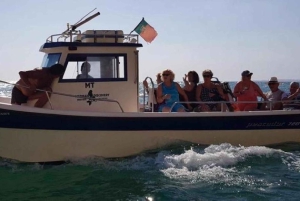 Portimão: Tour in barca delle spiagge di Benagil e Marinha
