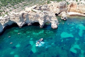 Portimão: Benagil Caves & Dolphins Watching with Biologist