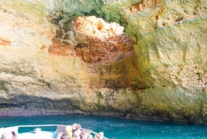 Portimão: Benagil Caves & Dolphins Watching with Biologist