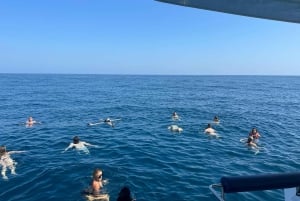 Portimão: Benagil-grotter og øko-katamaran-tur på Guldkysten