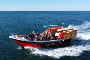 Portimão: Benagil Caves Speedboat and Kayak Guided Tour