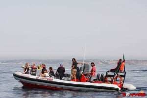 Portimão: Benagil Small Group Boat Tour