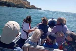 Portimao: Boat trip to the Benagil Cave