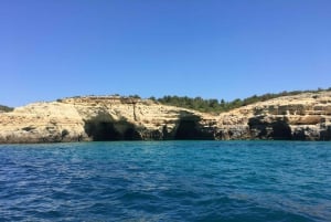 Portimão: Caves, Benagil and Algarve Coastline Boat Tour