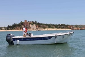 Portimão: Caves, Benagil and Algarve Coastline Boat Tour