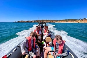 Portimão: Dolphin Spotting & Benagil Caves Guided Boat Tour
