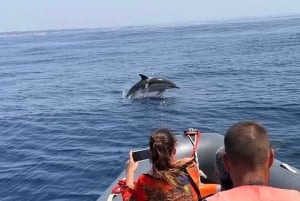 Portimão: Dolphin Watch & Benagil Caves with Biologist Guide