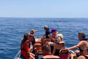 Portimão: Dolphin Watch & Benagil Caves with Biologist Guide