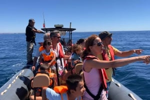 Portimão: Dolphin Watch & Benagil Caves with Biologist Guide