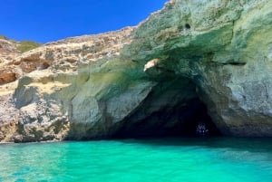 Portimão: Dolphin Watch & Benagil Caves with Biologist Guide