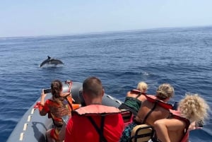 Portimão: Dolphin Watch & Benagil Caves with Biologist Guide