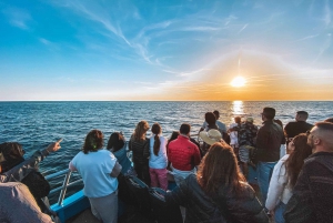 Portimão: Dolphin Watching, Benagil Caves Cruise & Sunset