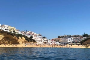 Portimão: Dophin Watching on the Algarve Coast