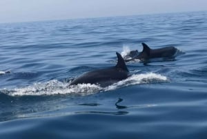 Portimão : Réunion de famille