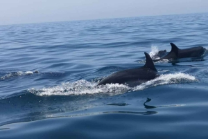 Portimão: Reunión familiar
