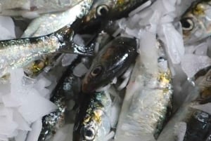 Vistradities en proeverij in Portimão - privéwandeltour