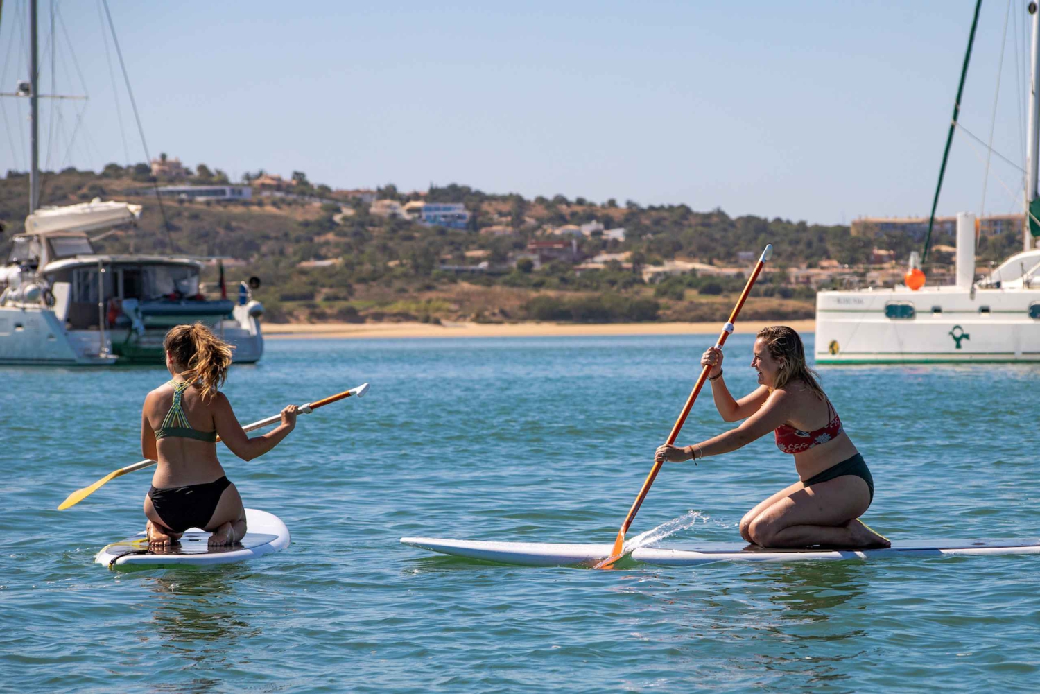 Portimão: catamarancruise van een halve dag naar Benagil en Carvoeiro
