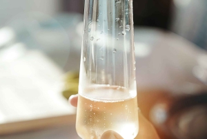 Portimao : Croisière d'une demi-journée en voilier vers les grottes de Benagil