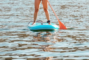 Portimao : Croisière d'une demi-journée en voilier vers les grottes de Benagil