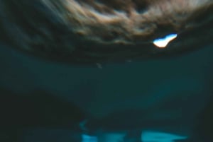 Grotte nascoste di Portimão: Tour privato in kayak e SUP