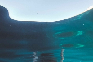 Grotte nascoste di Portimão: Tour privato in kayak e SUP