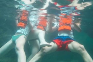 Grotte nascoste di Portimão: Tour privato in kayak e SUP