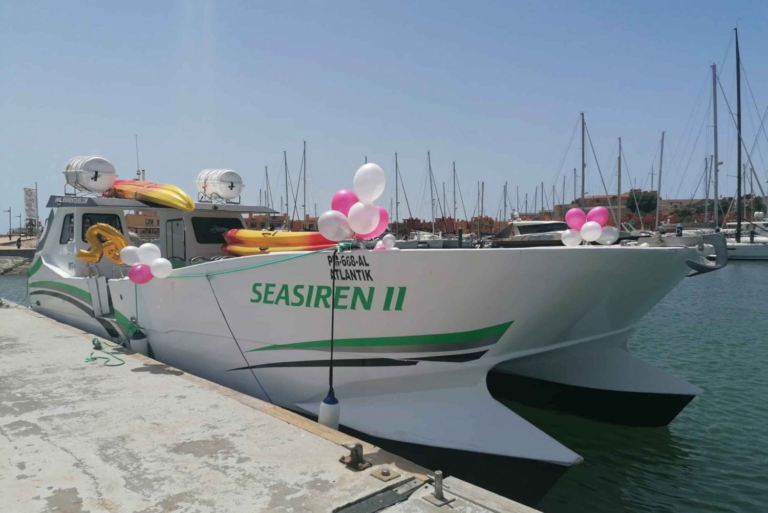 Portimão: Excursión Privada en Catamarán y Kayak por las Grutas de Benagil