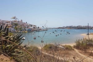 Portimão: Sardinen-Route