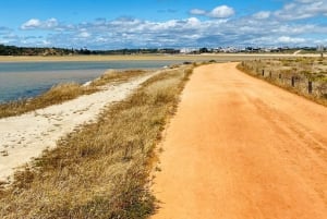 Portimão sightseeing guided tour on e-bikes