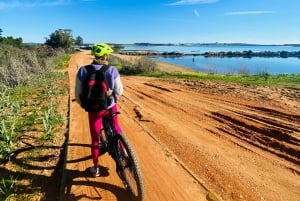 Portimão sightseeing guided tour on e-bikes