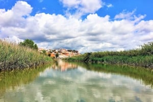 Portimão: Silves & Arade River History Tour on a Solar Boat